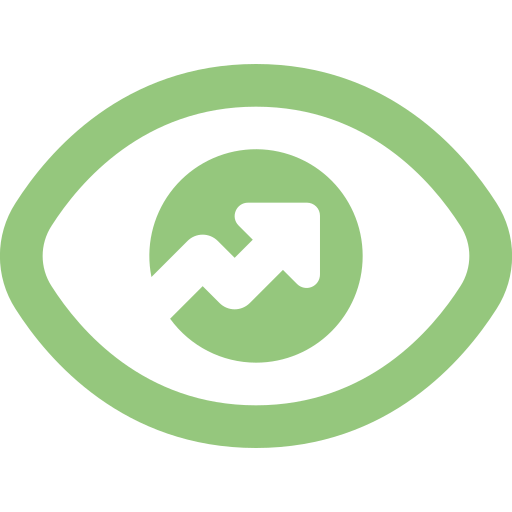 Vision Icon